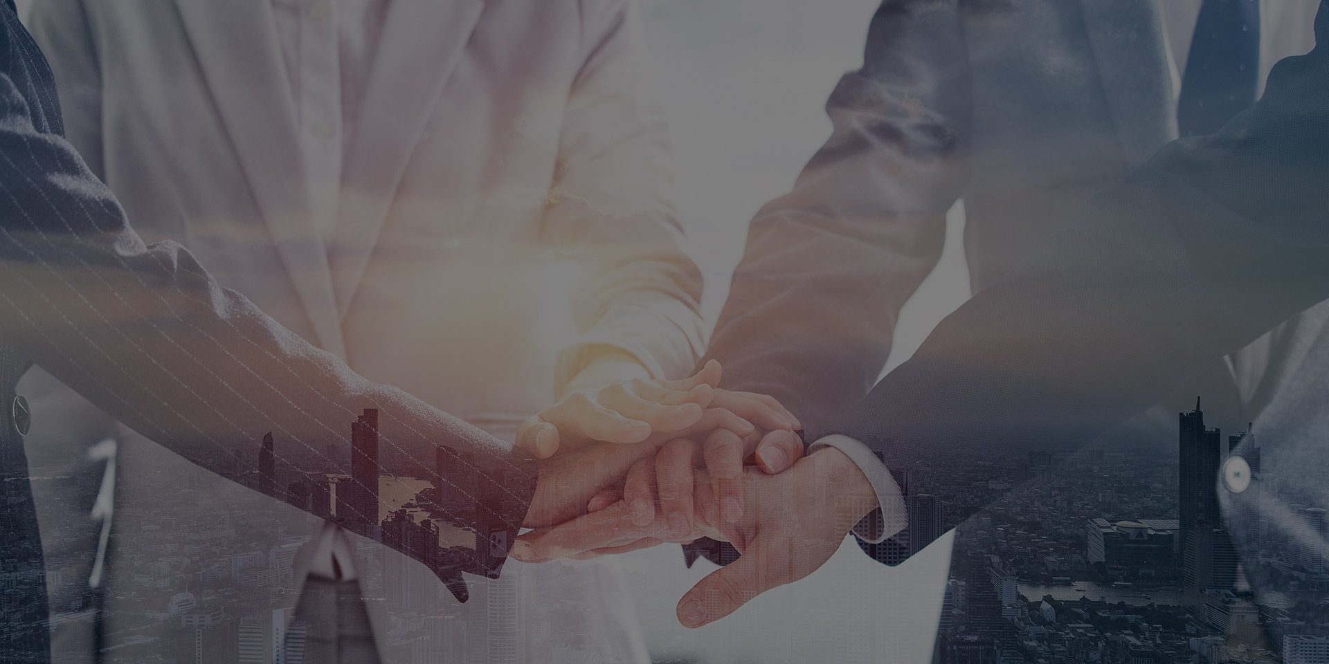 專業(yè)產品 合作共贏